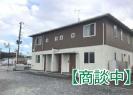 アミコートＢ